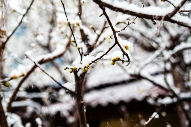 场上