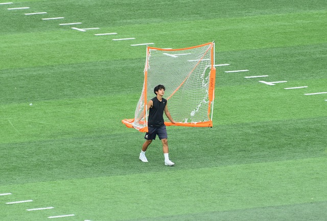 一直以来都