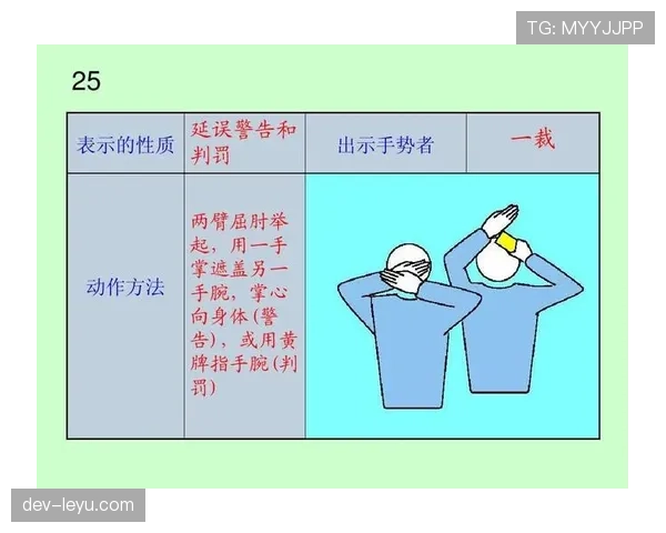 深度解析裁判手势规则：常用手势含义与判罚